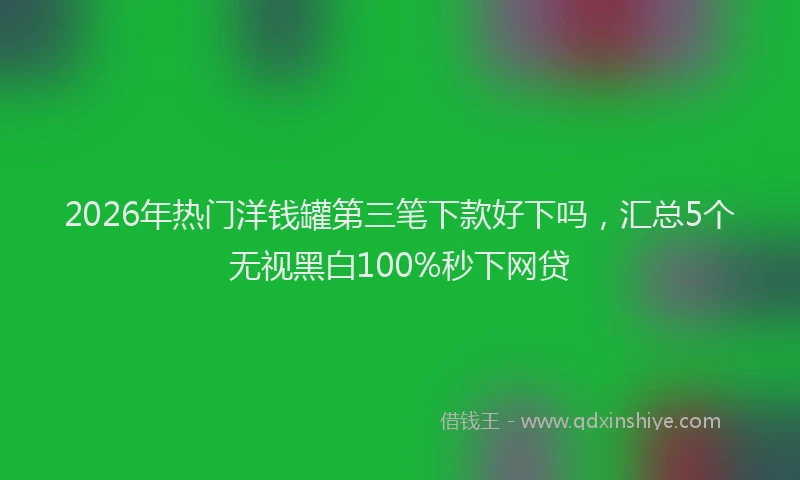2026年热门洋钱罐第三笔下款好下吗，汇总5个无视黑白100%秒下网贷