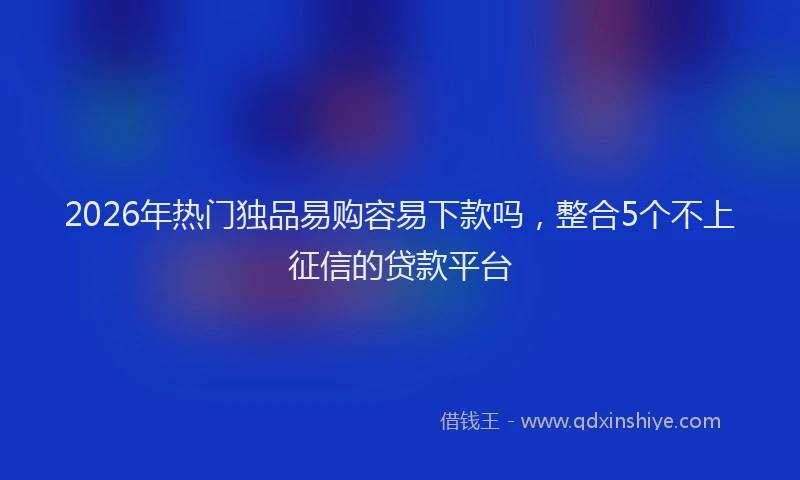 2026年热门独品易购容易下款吗，整合5个不上征信的贷款平台
