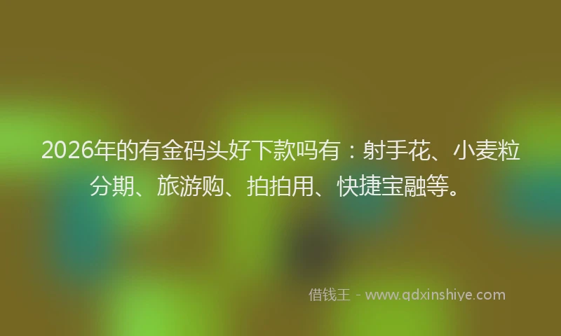 2026年的有金码头好下款吗有:射手花、小麦粒分期、旅游购、拍拍用、快捷宝融等。