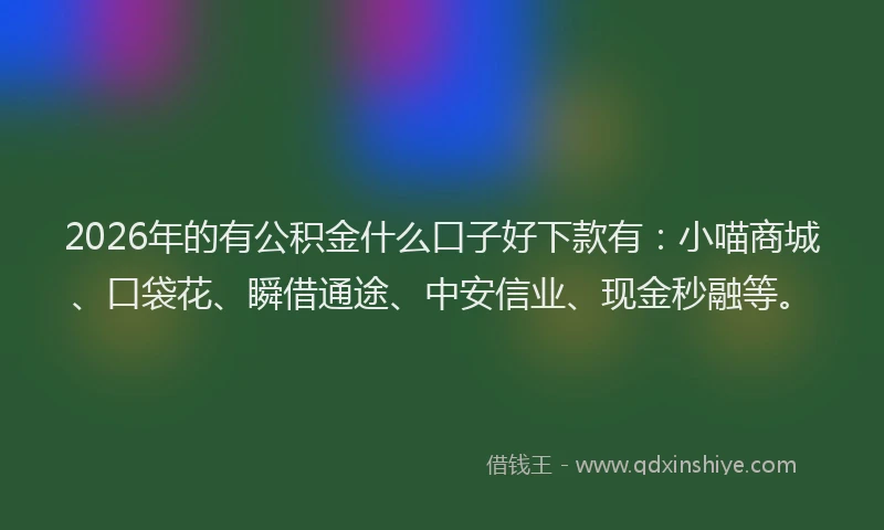 2026年的有公积金什么口子好下款有:小喵商城、口袋花、瞬借通途、中安信业、现金秒融等。