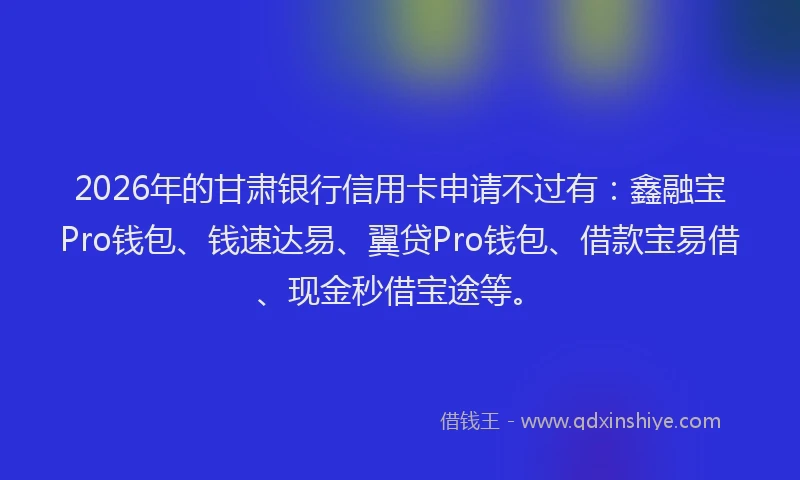 2026年的甘肃银行信用卡申请不过有：鑫融宝Pro钱包、钱速达易、翼贷Pro钱包、借款宝易借、现金秒借宝途等。