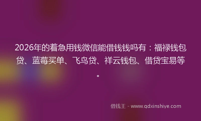 2026年的着急用钱微信能借钱钱吗有：福禄钱包贷、蓝莓买单、飞鸟贷、祥云钱包、借贷宝易等。