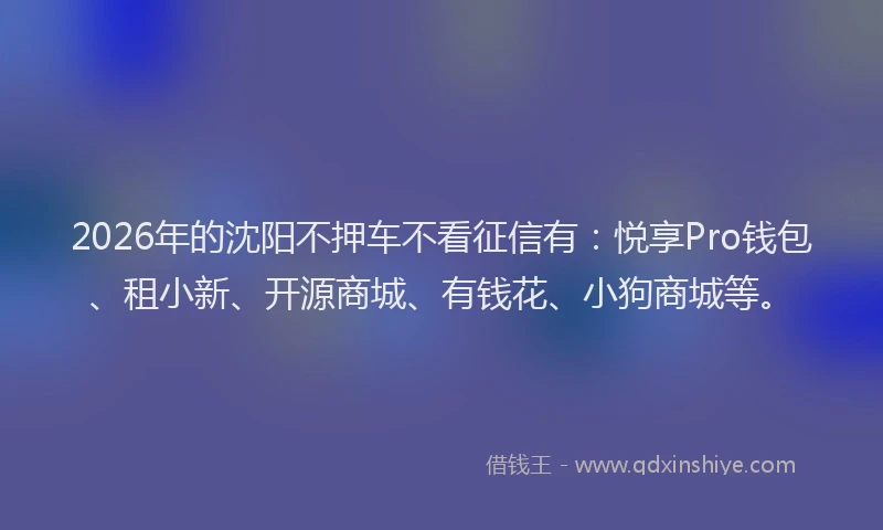 2026年的沈阳不押车不看征信有:悦享Pro钱包、租小新、开源商城、有钱花、小狗商城等。