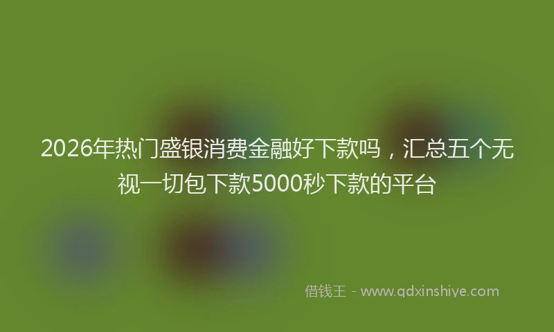 2026年热门盛银消费金融好下款吗，汇总五个无视一切包下款5000秒下款的平台
