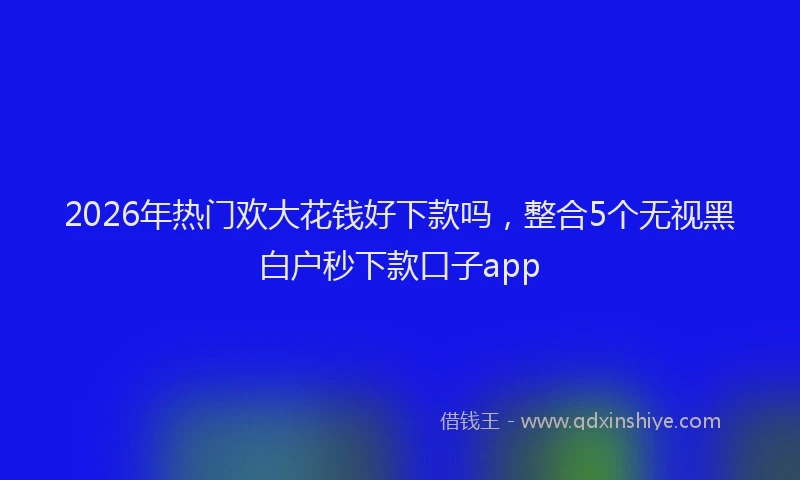 2026年热门欢大花钱好下款吗，整合5个无视黑白户秒下款口子app