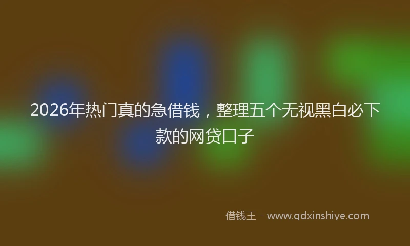 2026年热门真的急借钱，整理五个无视黑白必下款的网贷口子