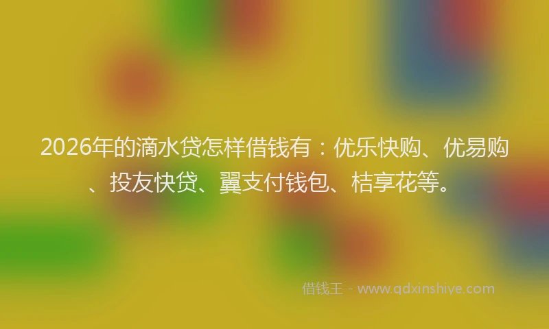 2026年的滴水贷怎样借钱有：优乐快购、优易购、投友快贷、翼支付钱包、桔享花等。