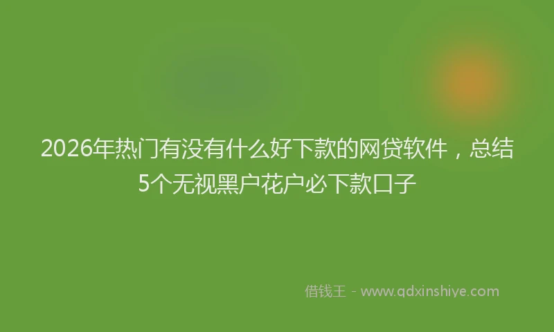 2026年热门有没有什么好下款的网贷软件，总结5个无视黑户花户必下款口子