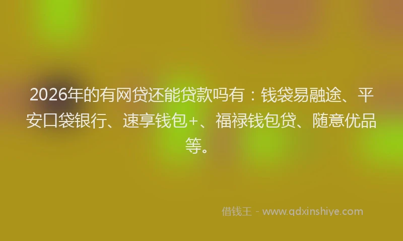 2026年的有网贷还能贷款吗有：钱袋易融途、平安口袋银行、速享钱包+、福禄钱包贷、随意优品等。