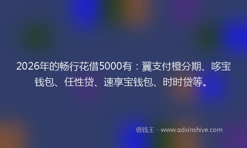 2026年的畅行花借5000有：翼支付橙分期、哆宝钱包、任性贷、速享宝钱包、时时贷等。