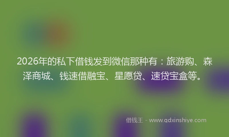 2026年的私下借钱发到微信那种有：旅游购、森泽商城、钱速借融宝、星愿贷、速贷宝盒等。