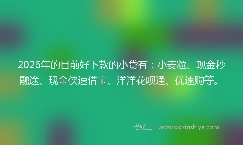 2026年的目前好下款的小贷有：小麦粒、现金秒融途、现金侠速借宝、洋洋花呗通、优速购等。