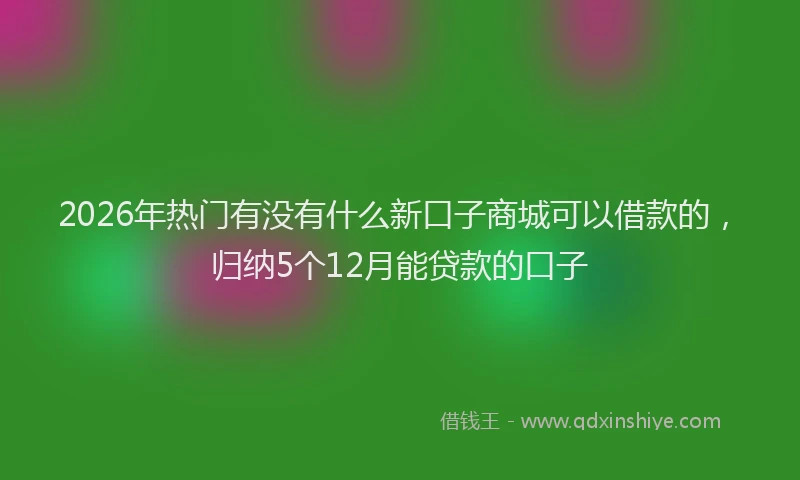 2026年热门有没有什么新口子商城可以借款的，归纳5个12月能贷款的口子