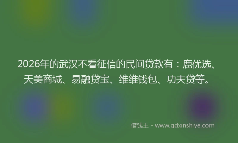 2026年的武汉不看征信的民间贷款有：鹿优选、天美商城、易融贷宝、维维钱包、功夫贷等。