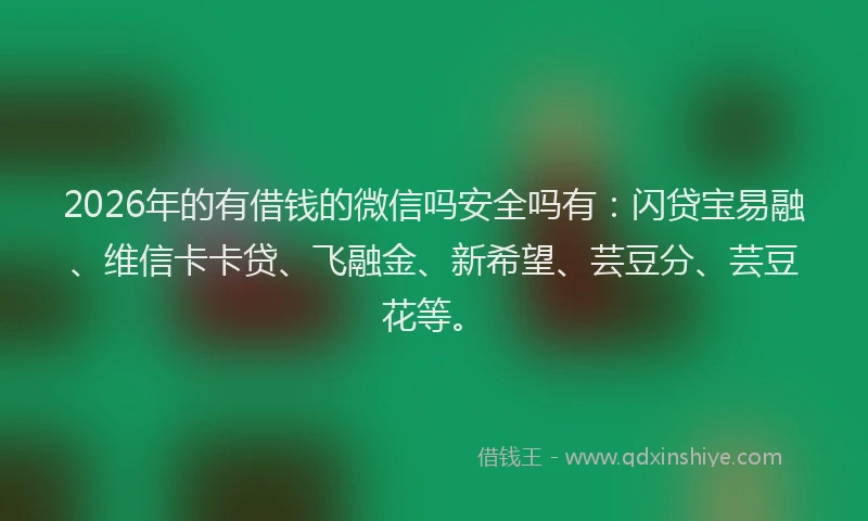 2026年的有借钱的微信吗安全吗有：闪贷宝易融、维信卡卡贷、飞融金、新希望、芸豆分、芸豆花等。