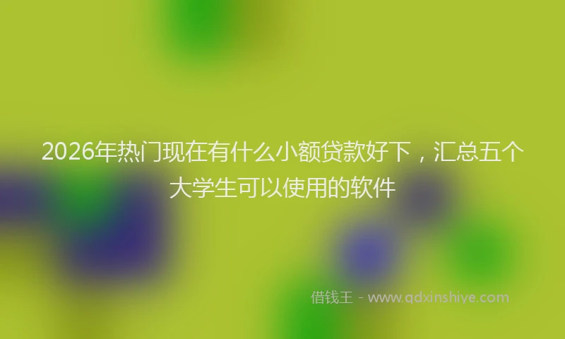 2026年热门现在有什么小额贷款好下，汇总五个大学生可以使用的软件
