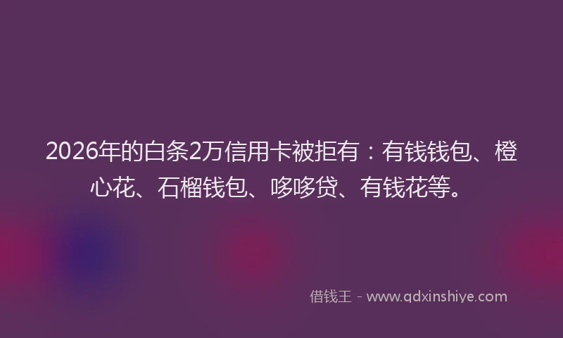 2026年的白条2万信用卡被拒有：有钱钱包、橙心花、石榴钱包、哆哆贷、有钱花等。