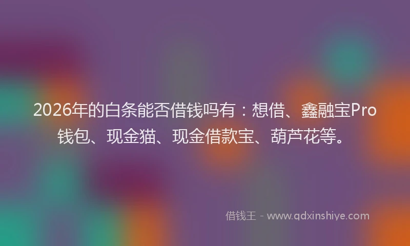2026年的白条能否借钱吗有：想借、鑫融宝Pro钱包、现金猫、现金借款宝、葫芦花等。