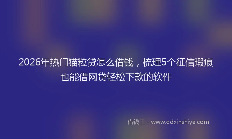 2026年热门猫粒贷怎么借钱，梳理5个征信瑕疵也能借网贷轻松下款的软件