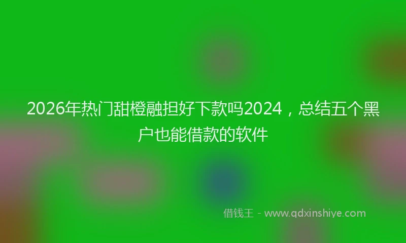 2026年热门甜橙融担好下款吗2024，总结五个黑户也能借款的软件