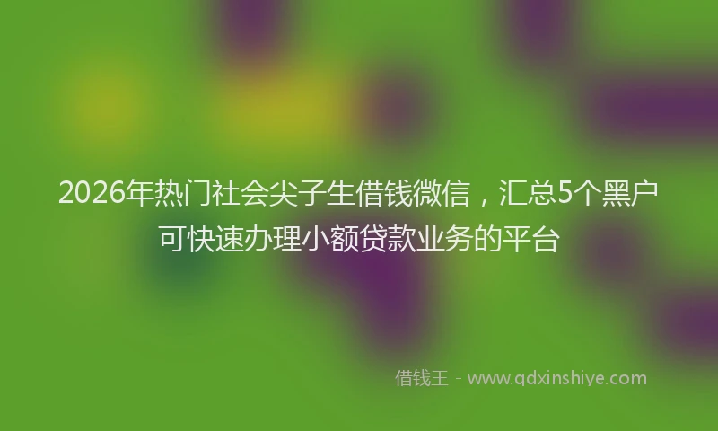 2026年热门社会尖子生借钱微信，汇总5个黑户可快速办理小额贷款业务的平台
