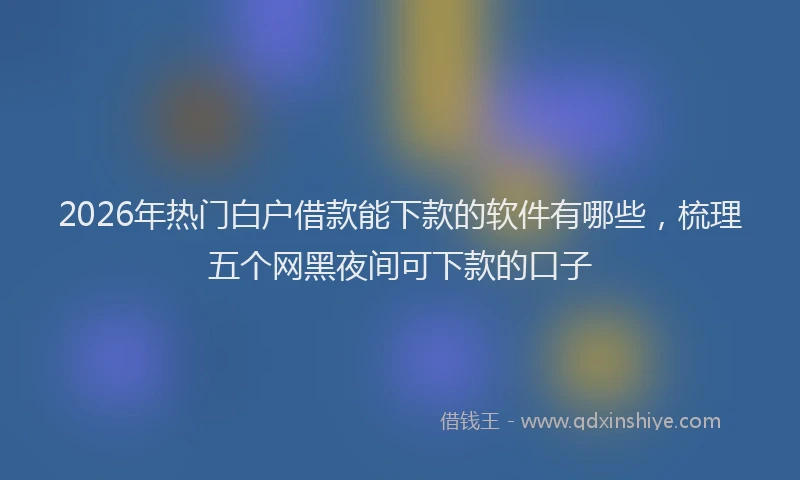 2026年热门白户借款能下款的软件有哪些，梳理五个网黑夜间可下款的口子