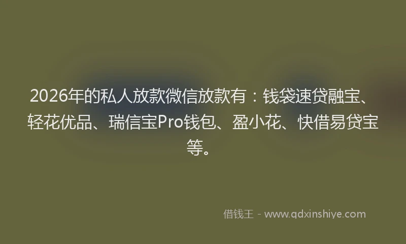 2026年的私人放款微信放款有：钱袋速贷融宝、轻花优品、瑞信宝Pro钱包、盈小花、快借易贷宝等。