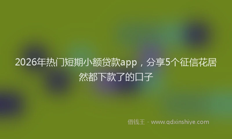 2026年热门短期小额贷款app，分享5个征信花居然都下款了的口子