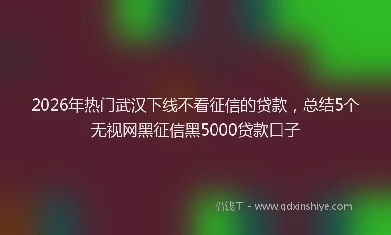 2026年热门武汉下线不看征信的贷款，总结5个无视网黑征信黑5000贷款口子