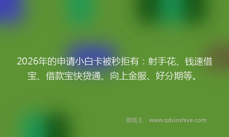 2026年的申请小白卡被秒拒有：射手花、钱速借宝、借款宝快贷通、向上金服、好分期等。