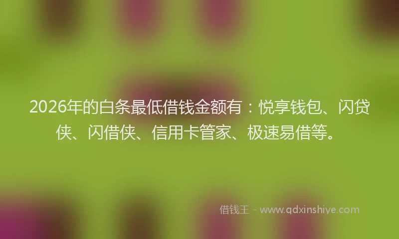 2026年的白条最低借钱金额有：悦享钱包、闪贷侠、闪借侠、信用卡管家、极速易借等。
