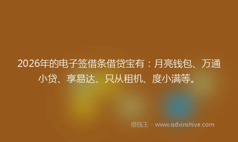 2026年的电子签借条借贷宝有:月亮钱包、万通小贷、享易达、只从租机、度小满等。