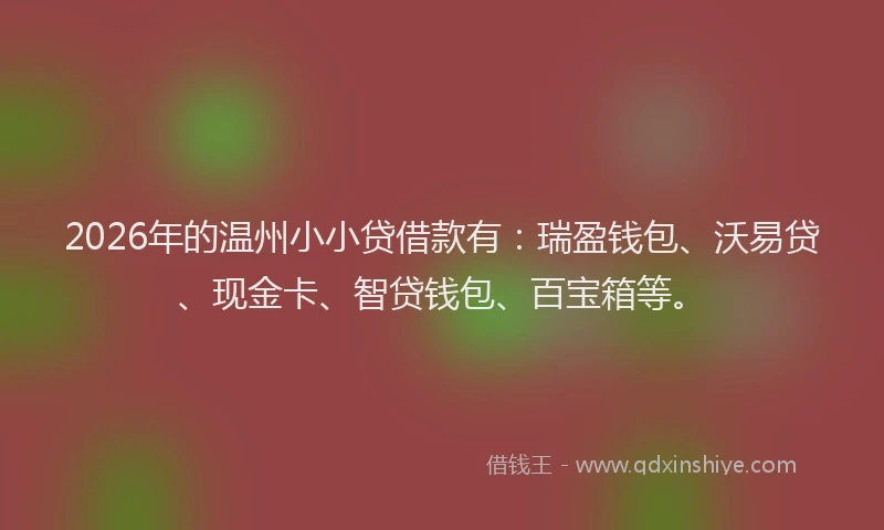 2026年的温州小小贷借款有：瑞盈钱包、沃易贷、现金卡、智贷钱包、百宝箱等。
