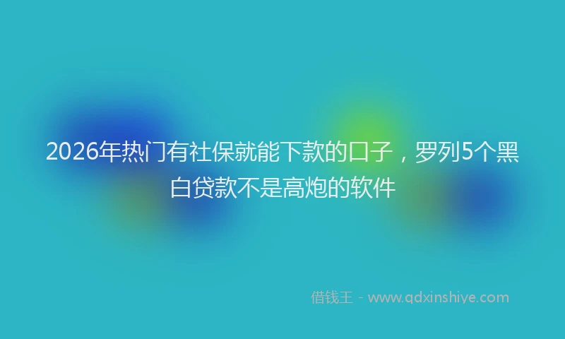 2026年热门有社保就能下款的口子，罗列5个黑白贷款不是高炮的软件