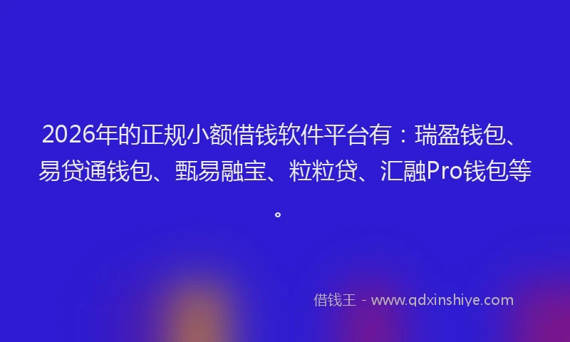 2026年的正规小额借钱软件平台有：瑞盈钱包、易贷通钱包、甄易融宝、粒粒贷、汇融Pro钱包等。