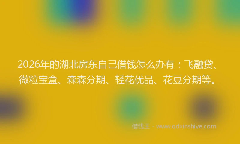 2026年的湖北房东自己借钱怎么办有：飞融贷、微粒宝盒、森森分期、轻花优品、花豆分期等。