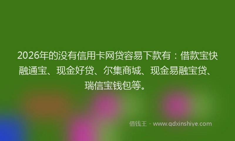 2026年的没有信用卡网贷容易下款有：借款宝快融通宝、现金好贷、尔集商城、现金易融宝贷、瑞信宝钱包等。