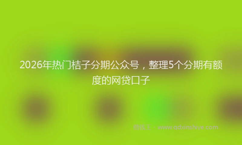 2026年热门桔子分期公众号，整理5个分期有额度的网贷口子