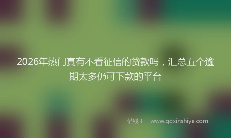 2026年热门真有不看征信的贷款吗，汇总五个逾期太多仍可下款的平台