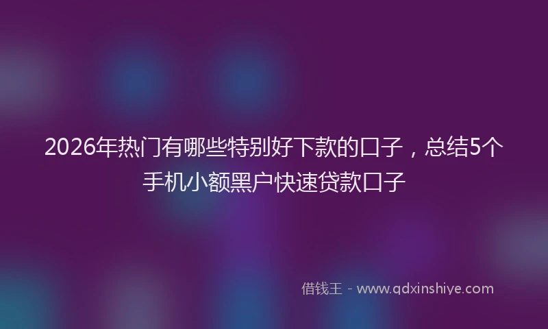 2026年热门有哪些特别好下款的口子，总结5个手机小额黑户快速贷款口子