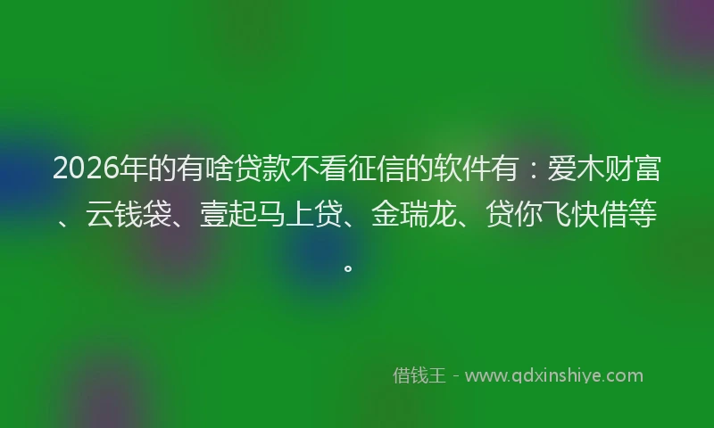 2026年的有啥贷款不看征信的软件有：爱木财富、云钱袋、壹起马上贷、金瑞龙、贷你飞快借等。