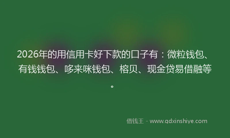 2026年的用信用卡好下款的口子有：微粒钱包、有钱钱包、哆来咪钱包、榕贝、现金贷易借融等。