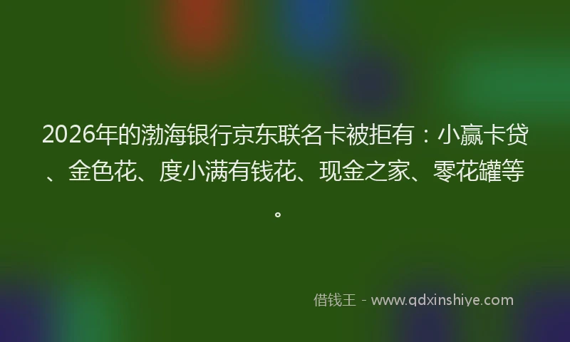 2026年的渤海银行京东联名卡被拒有：小赢卡贷、金色花、度小满有钱花、现金之家、零花罐等。