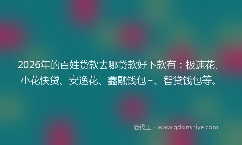 2026年的百姓贷款去哪贷款好下款有:极速花、小花快贷、安逸花、鑫融钱包+、智贷钱包等。