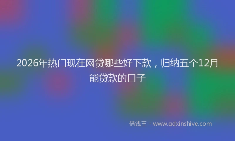 2026年热门现在网贷哪些好下款,归纳五个12月能贷款的口子