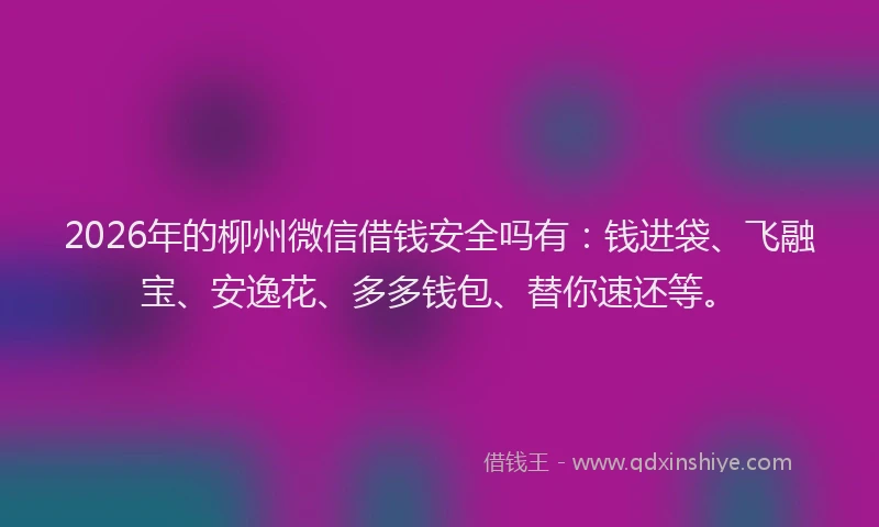 2026年的柳州微信借钱安全吗有：钱进袋、飞融宝、安逸花、多多钱包、替你速还等。