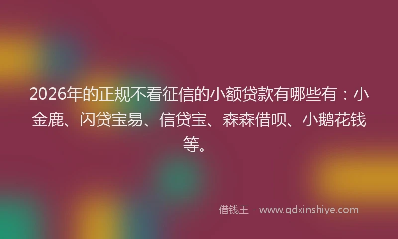 2026年的正规不看征信的小额贷款有哪些有：小金鹿、闪贷宝易、信贷宝、森森借呗、小鹅花钱等。