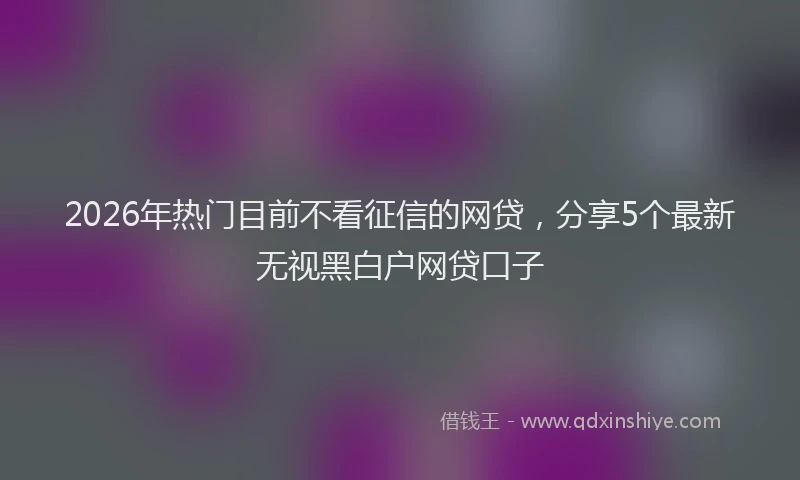 2026年热门目前不看征信的网贷，分享5个最新无视黑白户网贷口子