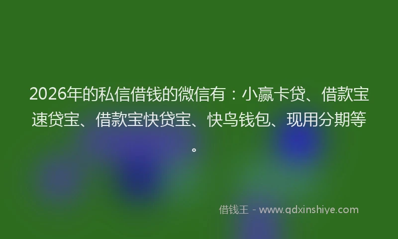 2026年的私信借钱的微信有：小赢卡贷、借款宝速贷宝、借款宝快贷宝、快鸟钱包、现用分期等。
