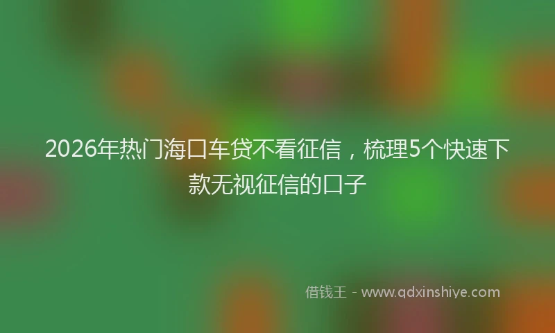 2026年热门海口车贷不看征信，梳理5个快速下款无视征信的口子